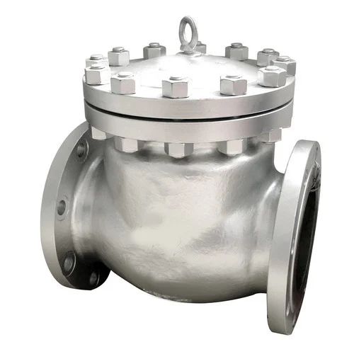 Check Valve Check Valve